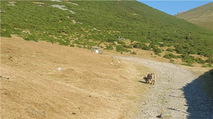 Mountain Gate - dry period