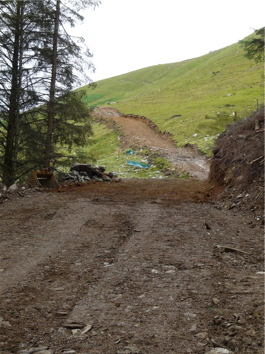 The bench for the pipeline trench is cut through from the forest to the end of the pipe on the mountain 7 July 2015 The bench for the pipeline trench is cut through from the forest to the end of the pipe on the mountain 7 July 2015